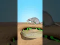 Download Lagu How Giant Rats Clear Landmines 🤔