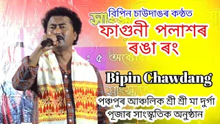 faguni polakhor ronga rong ll bipin chawdang ll live perform pansopur anchalik durga puja