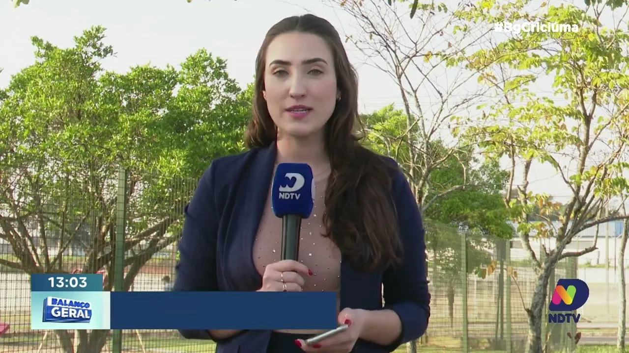 Projeto usa alarmes sonoros para salvar toninhas no litoral catarinense