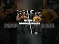 Download Lagu Conoce a Mia Sand, La Endomorfo Curvilinea 😍🔥.