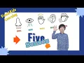 How Kids Five Senses Work Learn with Pictures Step by Step Fatir Kanwal Channel