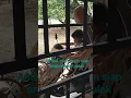 Download Lagu Macam2 ada di Santai Family Icad https://youtu.be/4cJFphHigRs