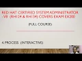 4 Red Hat Linux RHCSA V8 EX200 - Managing Process
