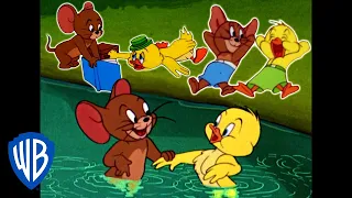 tom u0026 jerry best of jerry and little quacker classic cartoon compilation wb kids