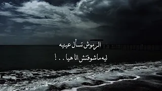 انتي اجمل من جمالك نفسي اعرف ايه في خيالك  اغاني رومانسيه  دندنها
