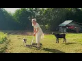 IK LEEF VAN HET LAND in een Russisch dorp met geiten, kippen en honden!