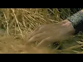 Slipknot - Vermilion Pt. 2 [OFFICIAL VIDEO] [HD]
