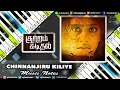 Download Lagu Chinnanjiru Kiliye (barathiyar) Piano. Guitar, Flute, Violin, Sax