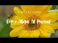 Download Lagu Juan Luis Guerra 4.40 - Como Abeja Al Panal (Lyric Video)
