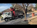 City of Dallas bulk trash pickup
