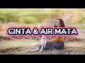 Lagu Cinta dan Air Mata - Yeni Inka  l Rock DJ Remix Versi Lo-fi Hadie