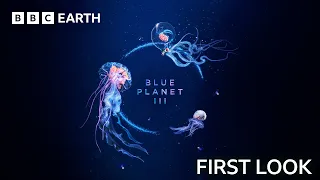 FIRST LOOK: Blue Planet III Trailer | Featuring JADE & Hans Zimmer | BBC Earth