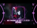 Download Lagu BÁT PHƯƠNG LAI TÀI (八方来财) Remix 1 hour - DJ CARLOS REMIX • Hot TikTok Douyin