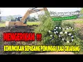 Download Lagu MENGERIKAN  ‼️ Detik-detik  Penampakan Sepasang Ular Penunggu Kali Cikarang 