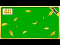 Golden leaves falling green screen video loops | Royalty-free video | 4k download