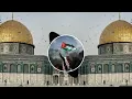 Download Lagu #palestine LABBAIK ALLAHUMMA LABBAIK. ⚔️⚔️