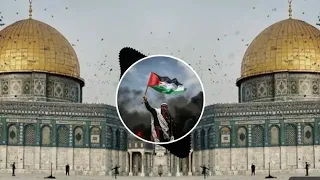  palestine labbaik allahumma labbaik 