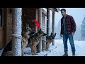 Three Abandoned K9s Left to Freeze at a Cabin What This Marine Veteran Did Next Shocked Everyone