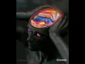 PALELIGHT - SKELER