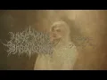 Download Lagu A Wake in Providence - I Write To You, My Darling Decay (Official Stream)