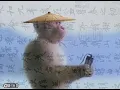 Download Lagu Chinese Rap meme