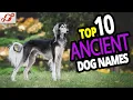 TOP 10 Ancient Dog Names For Male Female - Ancient Dog Name Ideas 2020