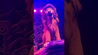 When Simba Recognizes You 