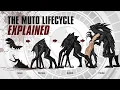 Download Lagu The BLOODY MUTO Lifecycle EXPLAINED