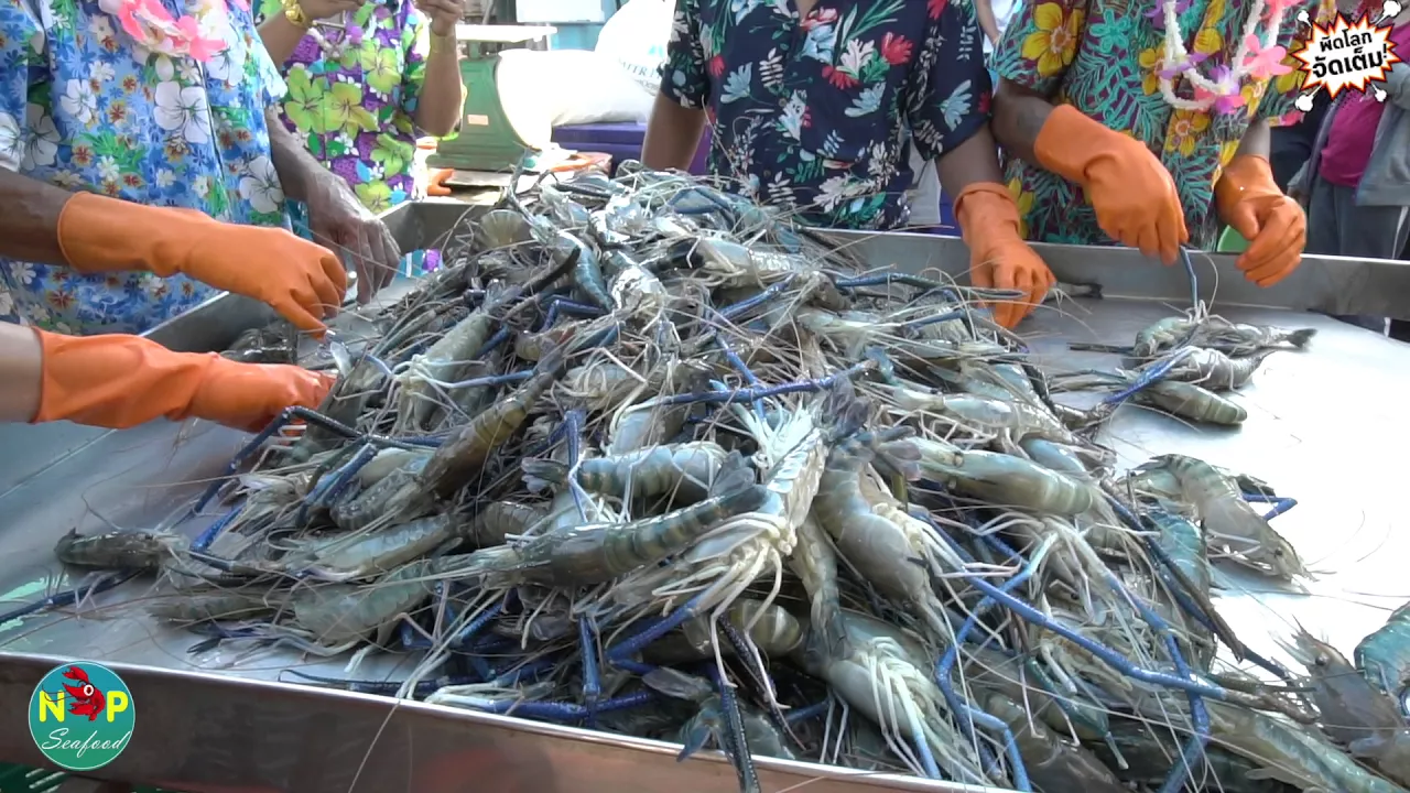 วิธีเก็บกุ้งสดให้อยู่ได้นาน เหมือนตรงจากทะเล ตัวไม่ฝ่อและนิ่ม. 