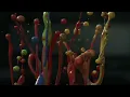 Flying Lotus   Massage Situation Homework Edit