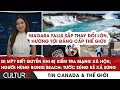 Lagu 🔴ĐI MỸ: Quyền của người Canada khi bị XÉT MẠNG XÃ HỘI | TIN CANADA-TG 15/12