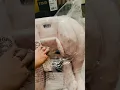 Unboxing the Nuna Rava Loveshack Fancy Pottery Barn Collab