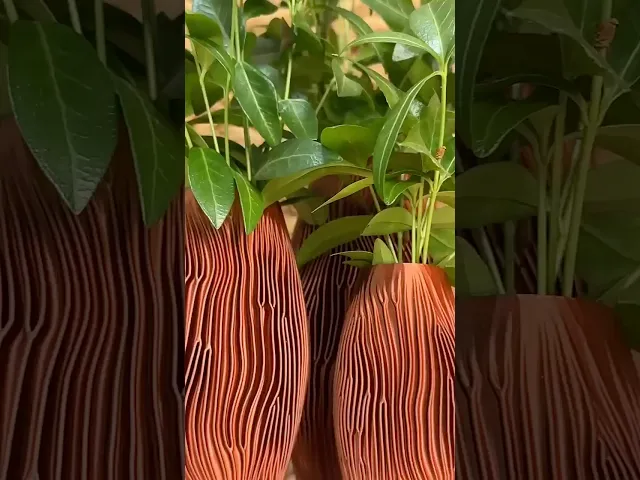Capillary Vases for Standard Printing video thumbnail