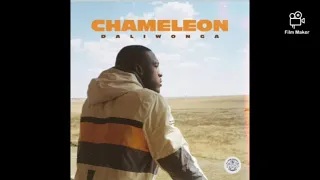 daliwonga iphutha ft dj maphorisa u0026 kabza de small 