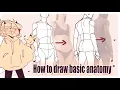 How to draw basic anatomy