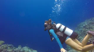 Scuba Diving Wakatobi INDONESIA on a Yacht Episode 70 (Sailing Catalpa)