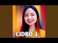 CiDRO 3