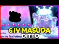 Get 6 IV Masuda Ditto NOW with this Strategy in Pokemon Scarlet Violet