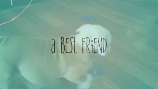 Pups n Stuff Commercial