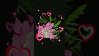 Music قالو لي مين الحبيب قلت ابني 