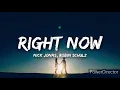 Download Lagu Nick Jonas, Robin Schulz – Right Now