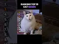 Download Lagu Top 10 Cat memes 😂