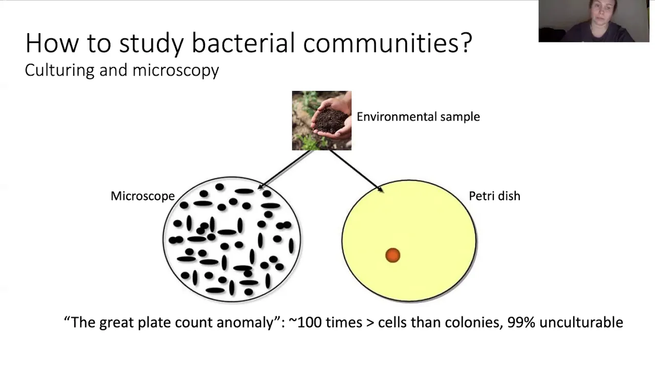 Microbial Ecology