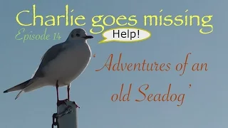 Adventures of an old Seadog Episode 14 ‘Charlie goes missing’