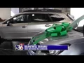 Share the Love - Quantrell Subaru Live Shot