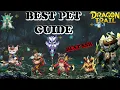 BEST Pet Guide BEST SSR Pet Dragon Trail Hunter World