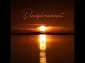 Peaceful Movement