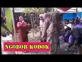 Download Lagu Sumbangsih lagu NGOBOR KODOK - Voc Kasminih