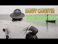 Download Lagu Sandy Canester - Aku Cuma Ingin Kamu [Lirik]