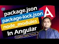 Package json vs Package-lock json in Angular Package json in Angular Angular Tutorial